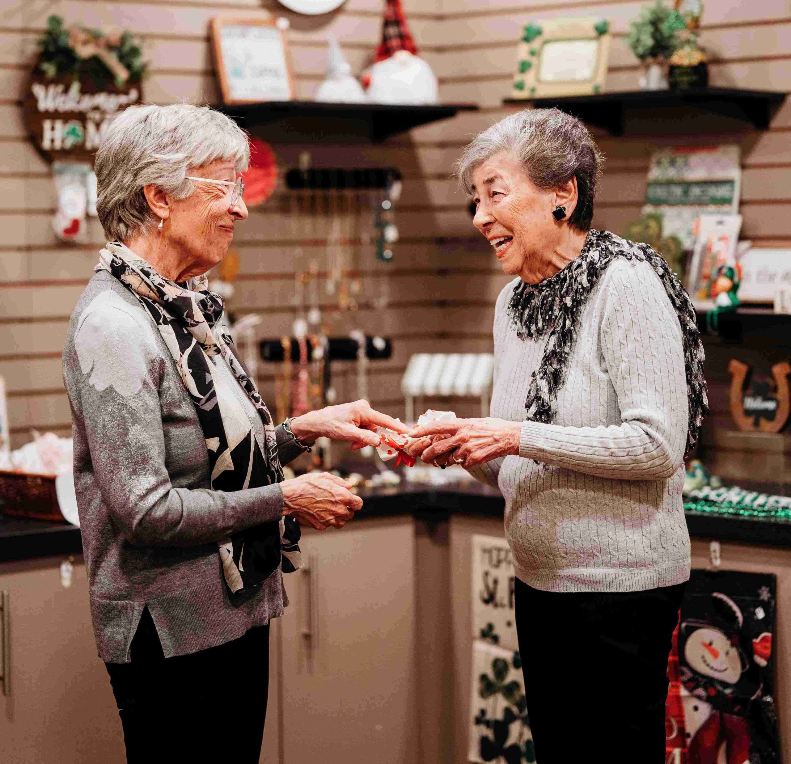 A Non-Profit Mission