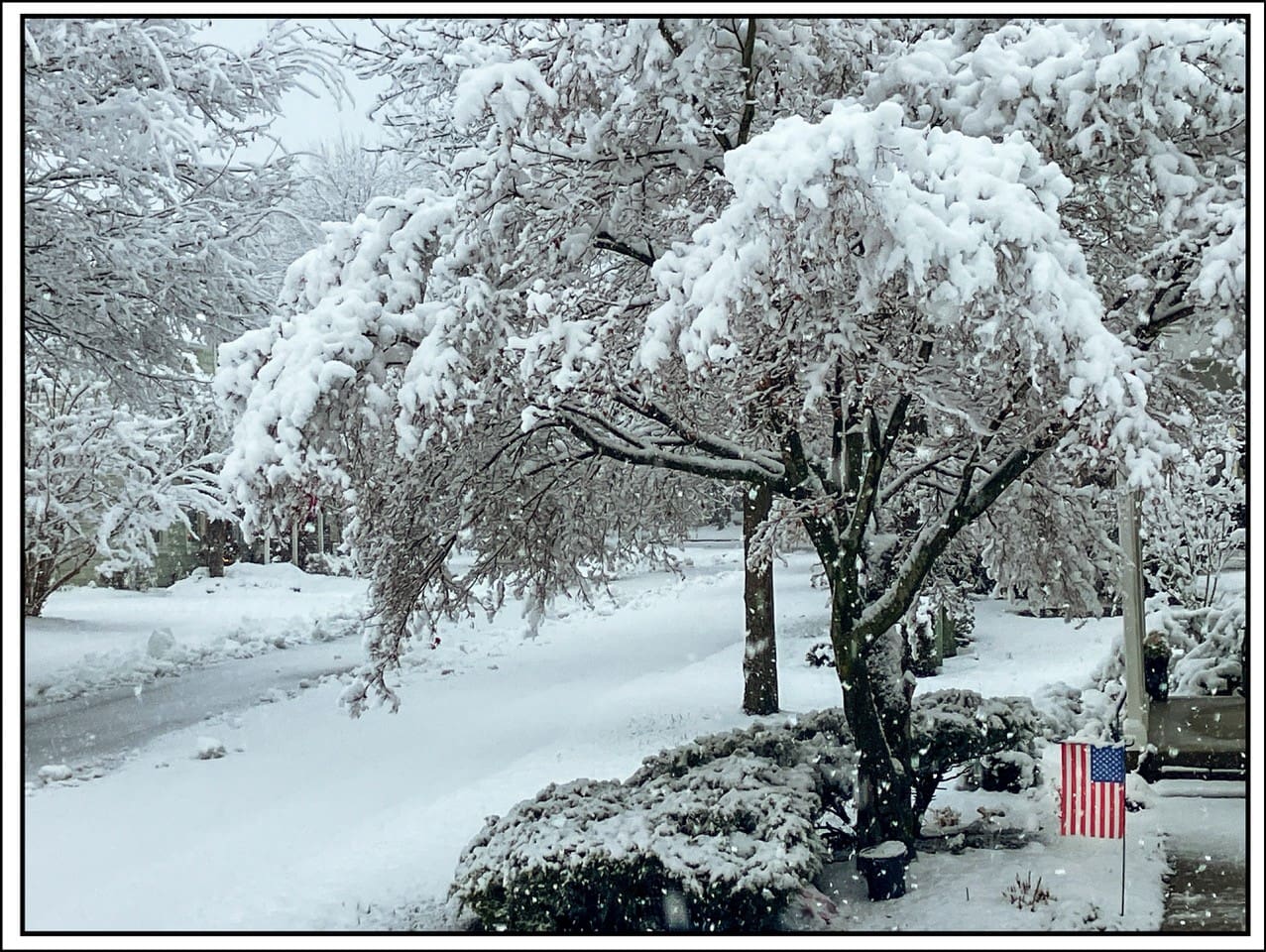 Wiley Walk – December 2025